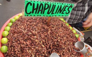 Chapilinas or Fried Grasshoppers