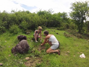 Volunteers Planting Trees